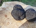 [new] 20201202_091759.jpg