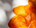[new] picotte-soboutargue-credit-leagil-29.jpg